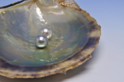 【真珠価値の高騰】銀座トマト「真珠シリーズ」で手に入れる一生モノの美