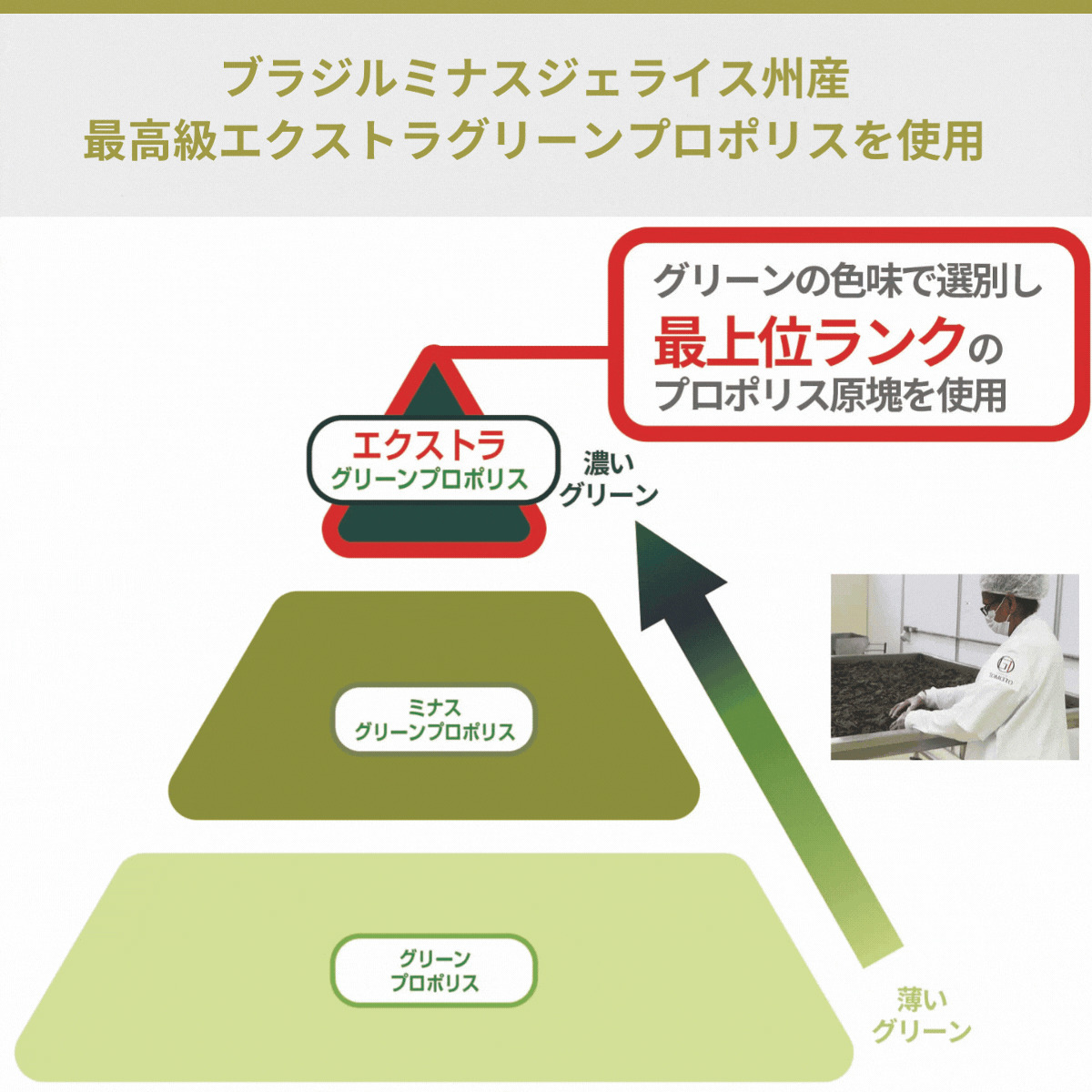 銀座プロポリスの4つの「他にはない」強み!夏バテ知らずの毎日へ
