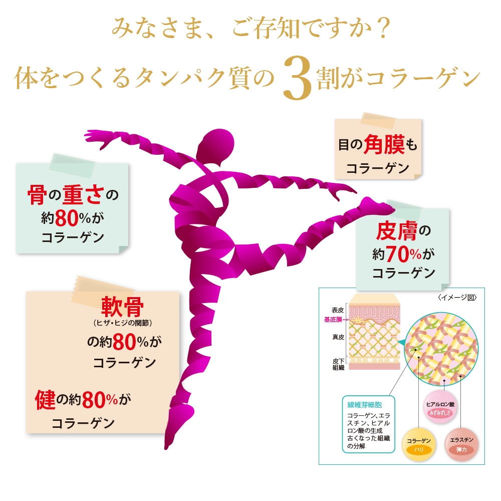 コラーゲンは、体の3割を占める美容の要!