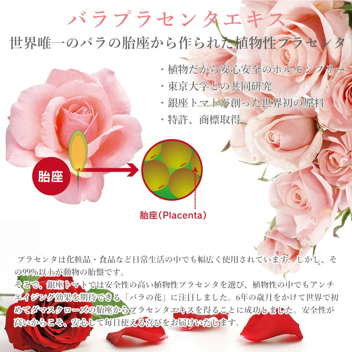 「CHIECO 薔薇プラセンタSC」は銀座トマトが自信を持って提供します